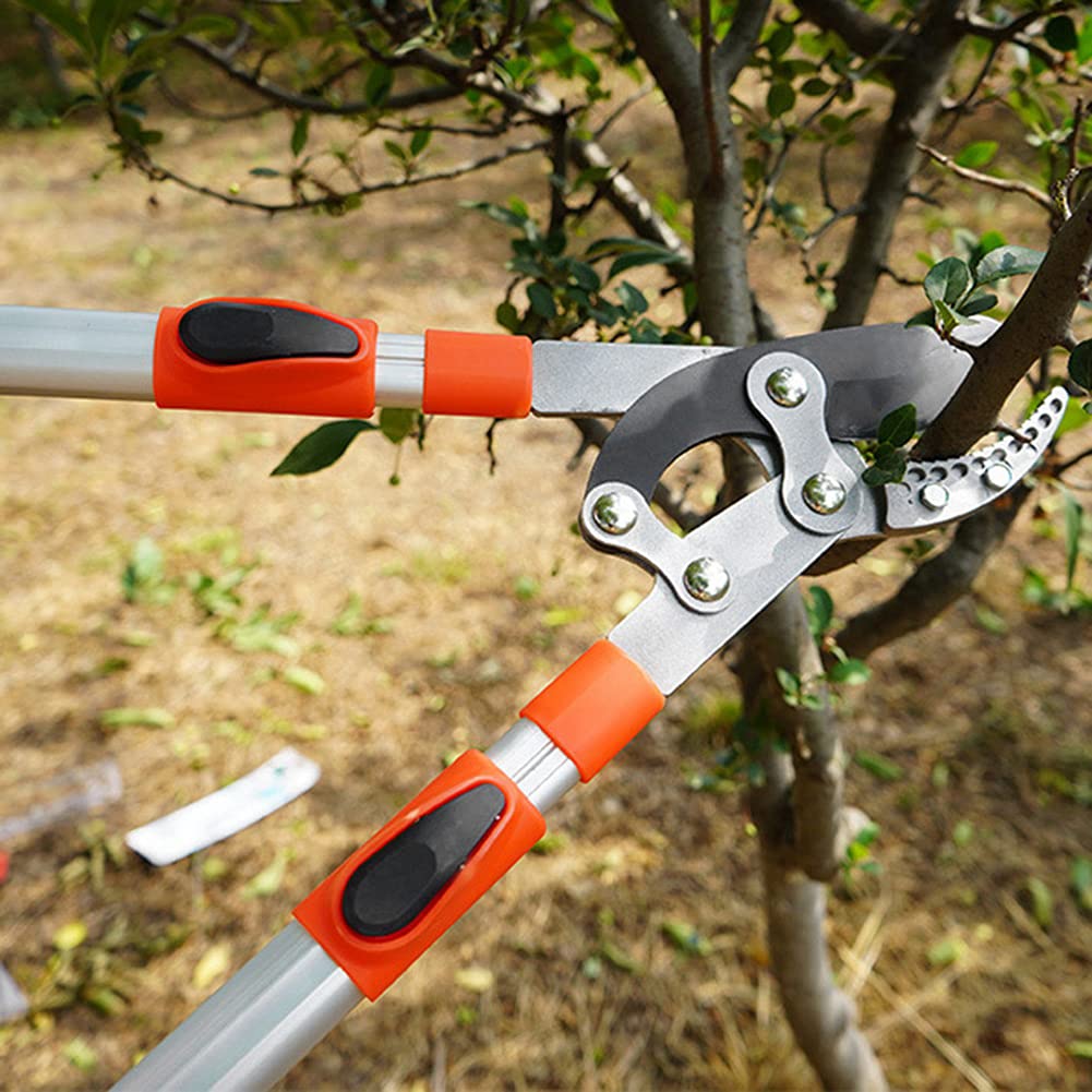 Tijeras de podar de jardín profesionales, mango telescópico ajustable de alta resistencia, tijeras de acero con alto contenido de carbono para podar árboles, flores, bonsái,