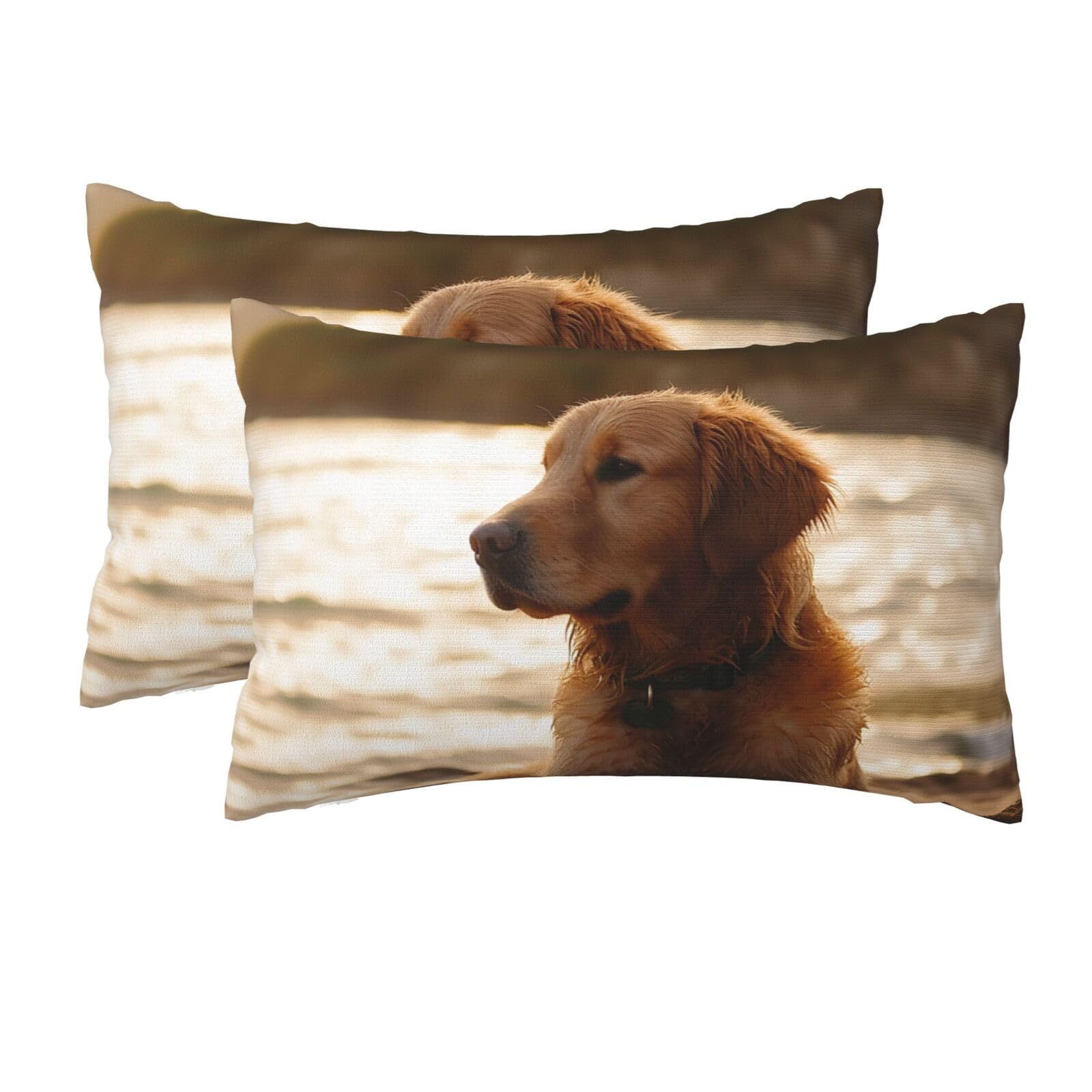 2 Pack Queen Size Pillow Cases for Hair and Skin Soft Breathable Pillow Case Covers with Hidden Zipper Retriever Pillowcase 20x30 Inches Pillow Cover for Sleeping Gift