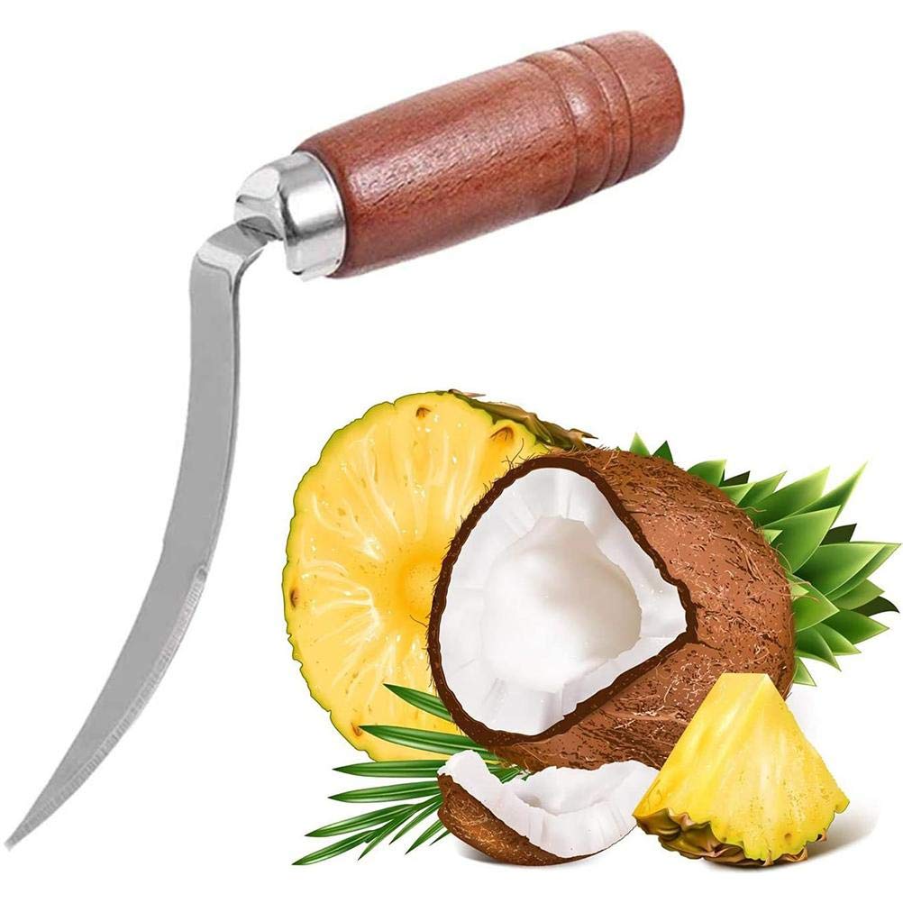 Presse Citron Manuel AUAUY Avec Zesteur - Design Pliable - 23cm - Facile à Nettoyer - Cuisine/Bar