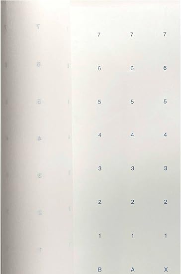 Amazon.com: Dot Alpha Numeric Marking Paper Roll – 45