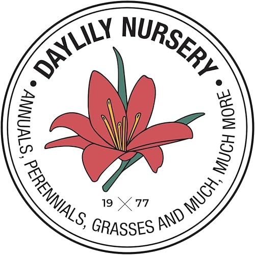 Miniatura 5 de Brunello de Cuaresma Rose 'Ice N' Roses' en una olla de un galón