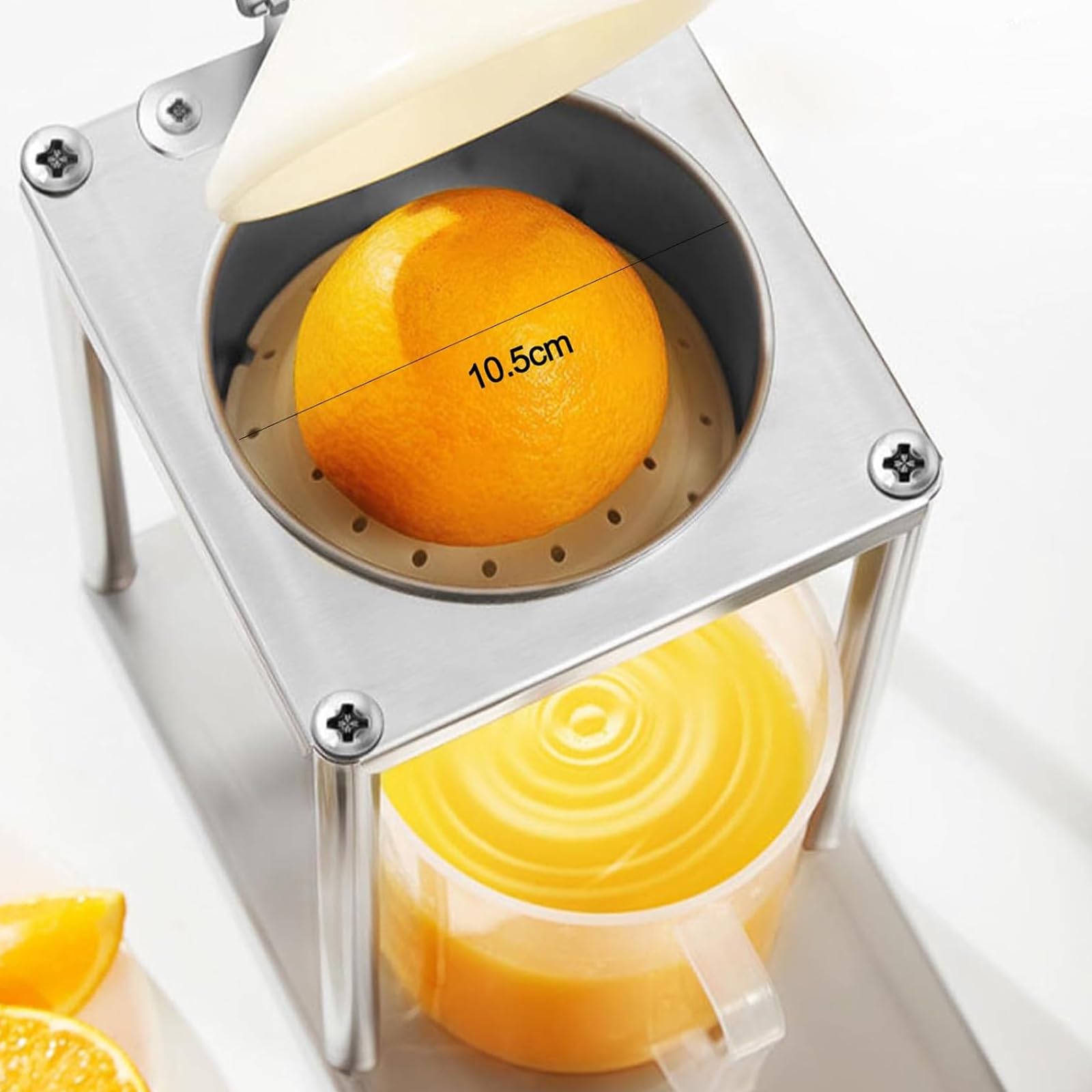 Exprimidor de cítricos, prensa manual de acero inoxidable resistente con filtro, extracción rápida de jugo, embudo desmontable para el hogar, cocina y restaurante