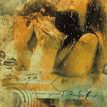 Vinyl The Romance of Affliction Book
