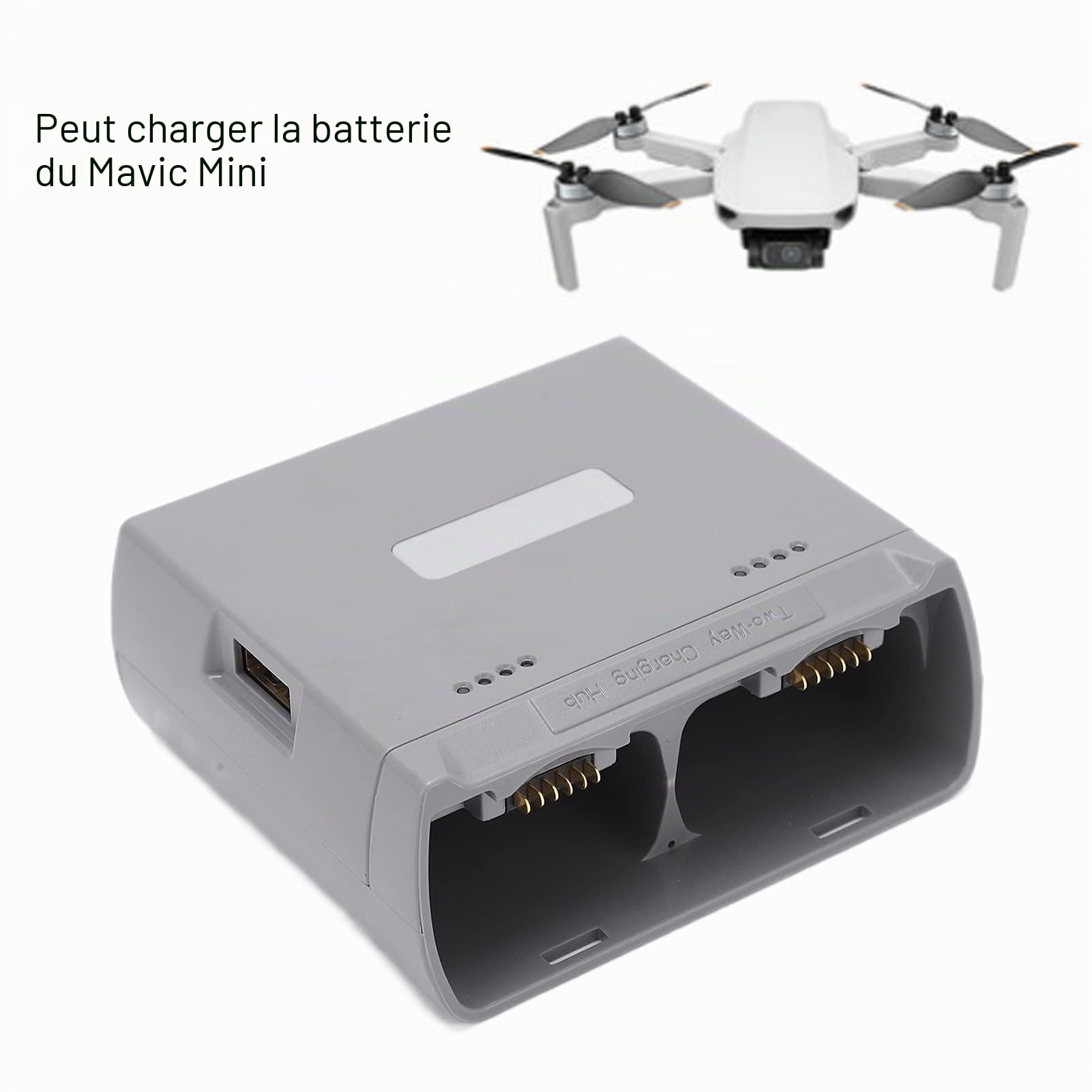 Station de charge bidirectionnelle chargeur 2 voies pour Mini 2/Mini SE (gris)