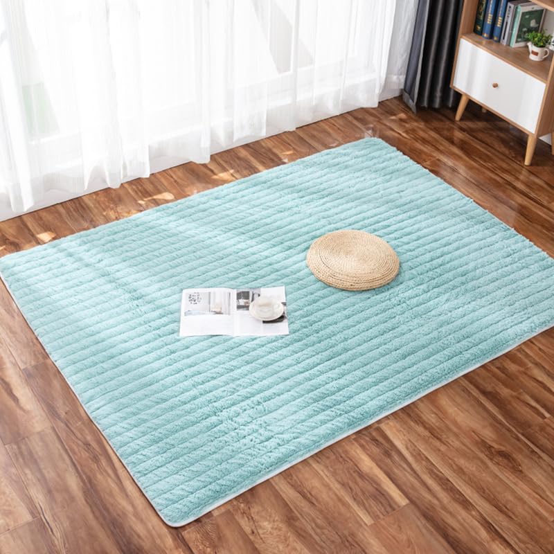 Tapis en peluche anti-glisse pour éviter les chutes sur sol lisse de chambre - G85