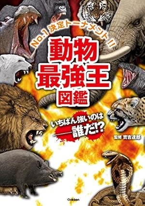 Amazon.co.jp: 科学漫画サバイバルシリーズ（22） 洞窟のサバイバル