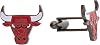 Desert Cactus Chicago Bulls Cufflinks NBA Team Logo National Basketball Association Formal Wear Cufflinks