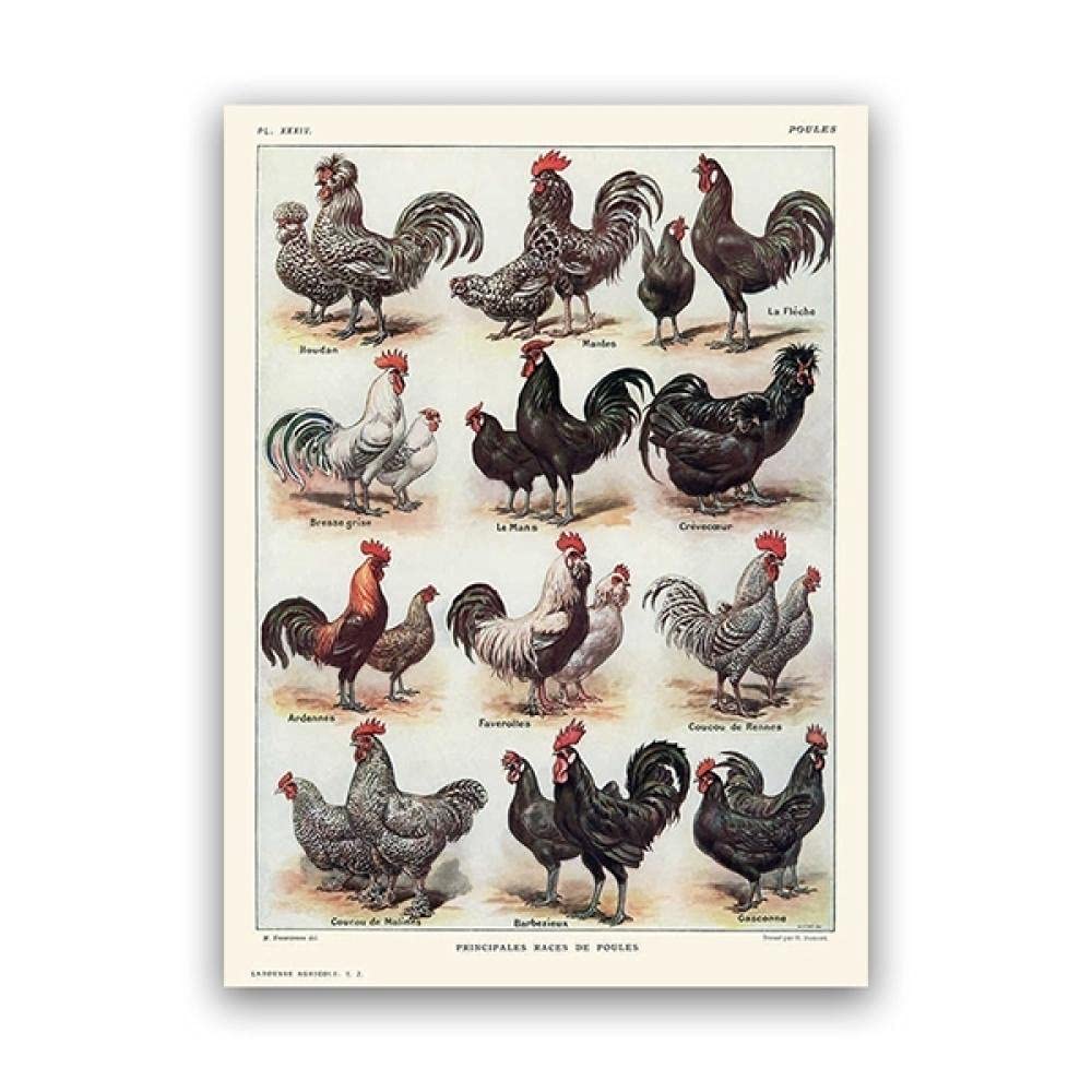 RLDOBOFE Arazzo Con Gallo E Gallina - Tappezzeria Da Parete 101x152 Cm - Poster Decorativo In Poliestere Per Camera Da Letto, Dormitorio, Festa - Stampe HD Con Clip E Ganci Inclusi