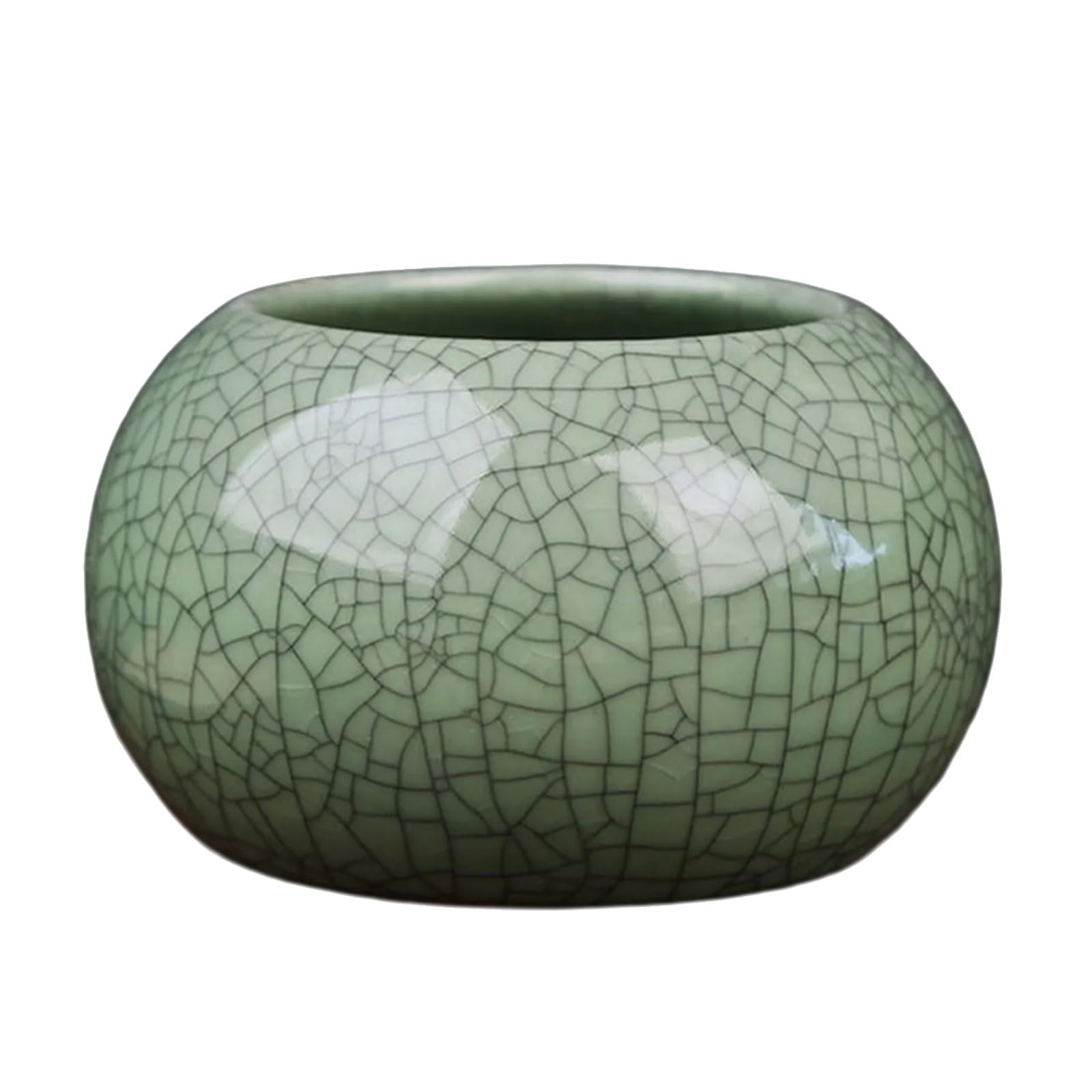 Ceramic Coin Grass Vase Planter Container with Crackled Luminousness for Hydroponic Deck Home Desk Arrangement Elegant Plant Container