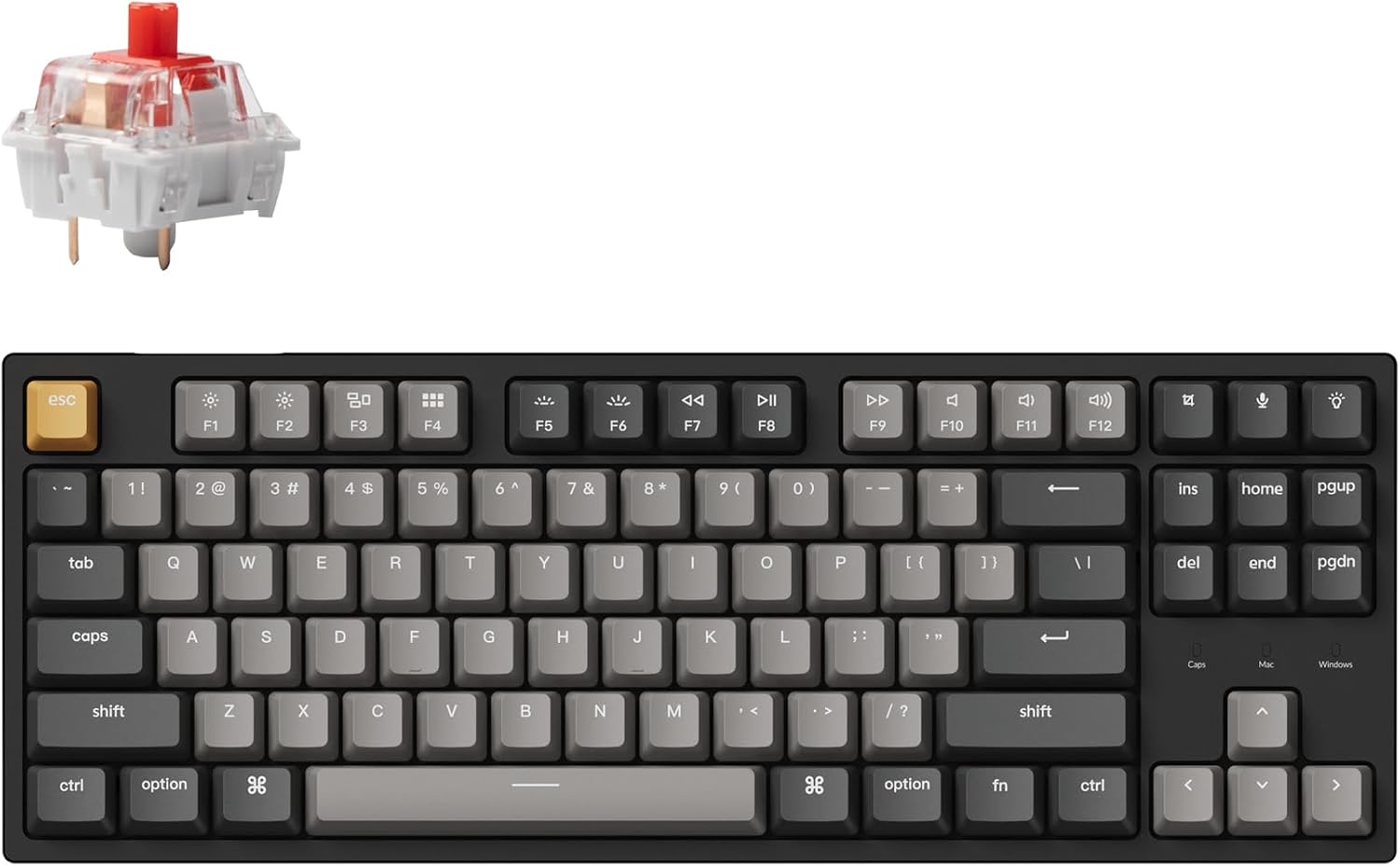 Keychron C1 Pro Wired Mechanical Keyboard TKL Layout, QMK Programmable RGB Backlit with Hot-swappable K Pro Red Switch, OEM Profile Double-Shot PBT Keycaps Compatible for Mac Windows Linux