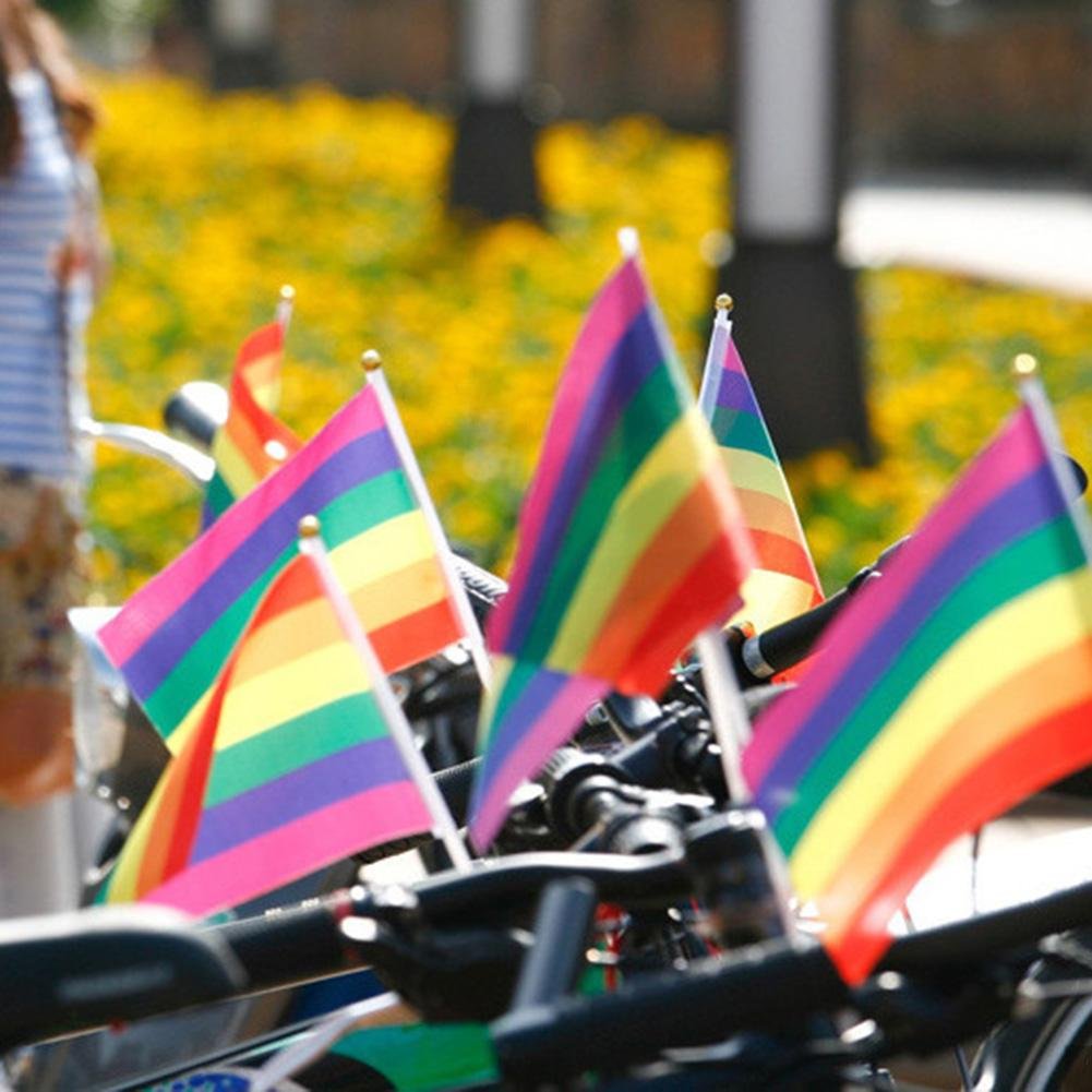 10 Bandiere Arcobaleno LGBT Gay Pride Da Mano Su Bastoncino - 14x21 Cm - Progress Pride Flag Per Eventi, Sfilate E Decorazioni - 4
