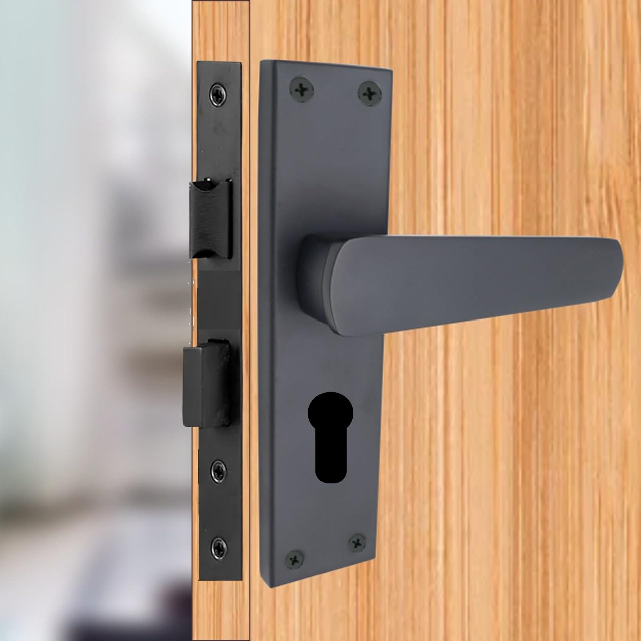 Harrison Door Locks for Main Door, Door Lock for Bedroom, Mortise Door Lock Set, Mortise Door Handle, Door Locks Handlesets with 3 Key | Black Matt Finish | 23530 |Entrance/Both Side Key-image-48