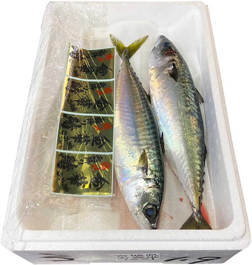 キヨ様 リクエスト 2点 まとめ商品 キヨ様 リクエスト 2点 まとめ商品 ZXマン様 リクエスト 2点