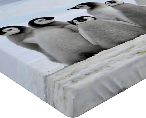 Miniatura 3 de Lunarable Juego de sábanas bajeras bajo el agua, pingüinos jóvenes, animales árticos, fondo de imagen, pila de nieve y cielo de invierno, funda de