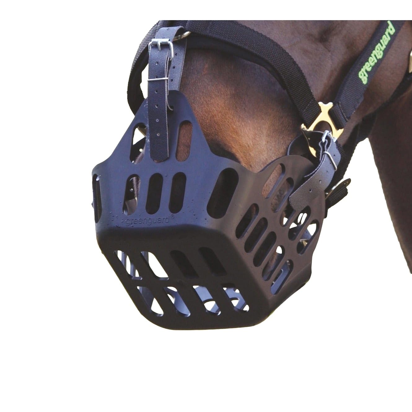 Shires - MJ Ainge and Co Ltd Greenguard Horse Grass Muzzle in Black Cob Size