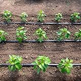 acquaverde B0848V6Z6Y lato 4