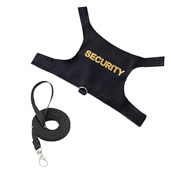 フトアゴ様。確認用 Amazon | フトアゴヒゲトカゲ ハーネス 調節可能なフトアゴヒゲ