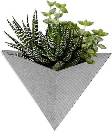Modern Home - Maceta triangular de acero galvanizado de acero galvanizado y zinc para suculentashierbas, recipiente para macetas para interiores y