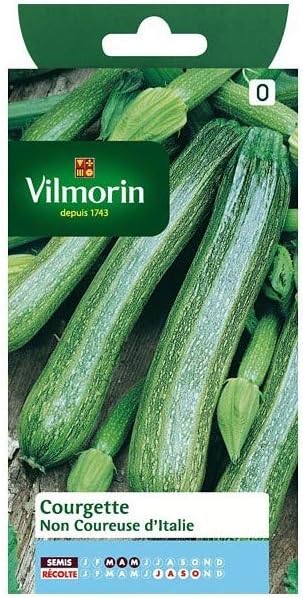 Vilmorin???Bag Seeds Courgette non runner from Italy