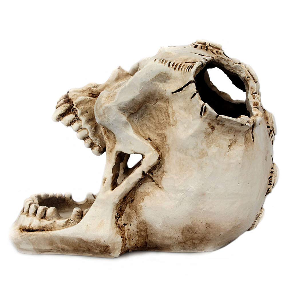 Skull for Head Ornament Skeleton Pen Holder Desktop Pencil Organizer Makeup Stor