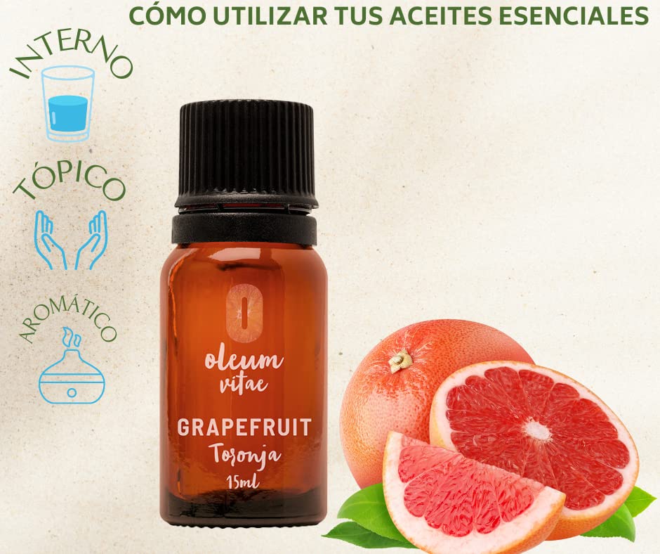 Limpieza, Kitchen Imagen adicional