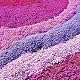 Bodendecker Phlox Mix Set mit 4 Stauden in verschiedenen Farben