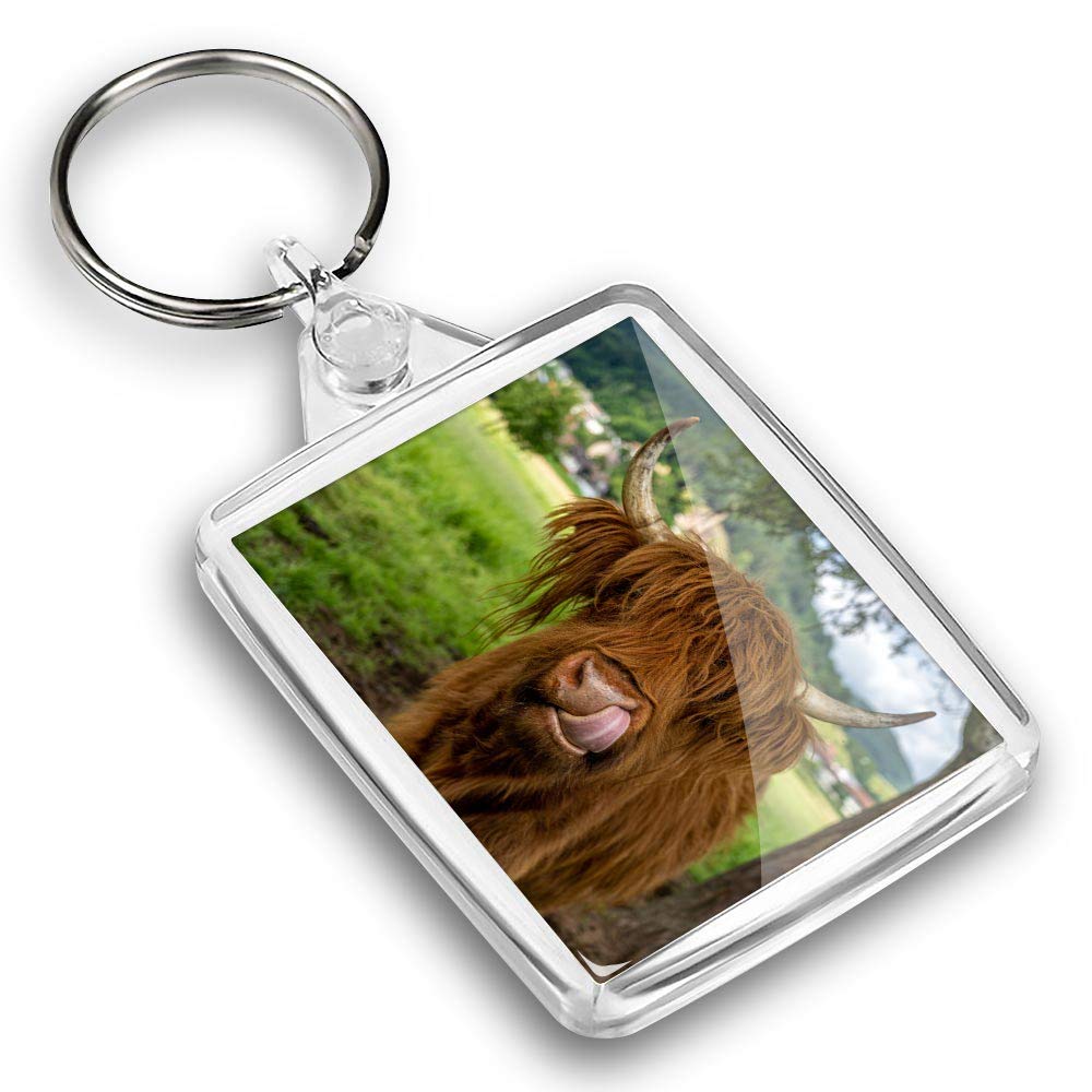 Destination Vinyl Ltd 1 x Photo Keyring - Brown Highland Cow Cattle |Keychain|Keyring|Charm| #44472