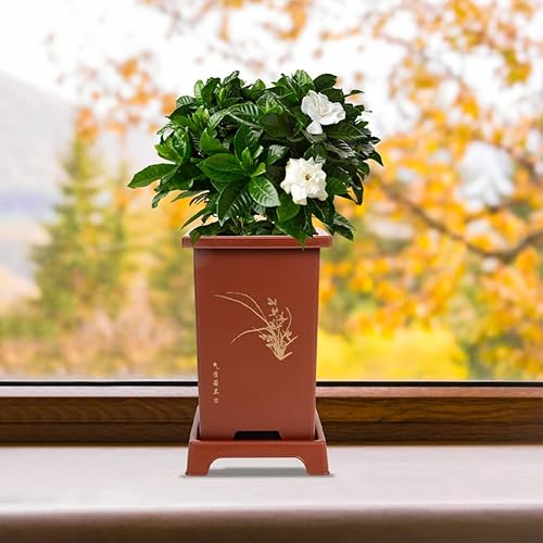 Miniatura 4 de Yardwe Maceta de bonsái con platillo, maceta de orquídeas Zisha, maceta china de arcilla morada, maceta de cactus suculenta para decoración del