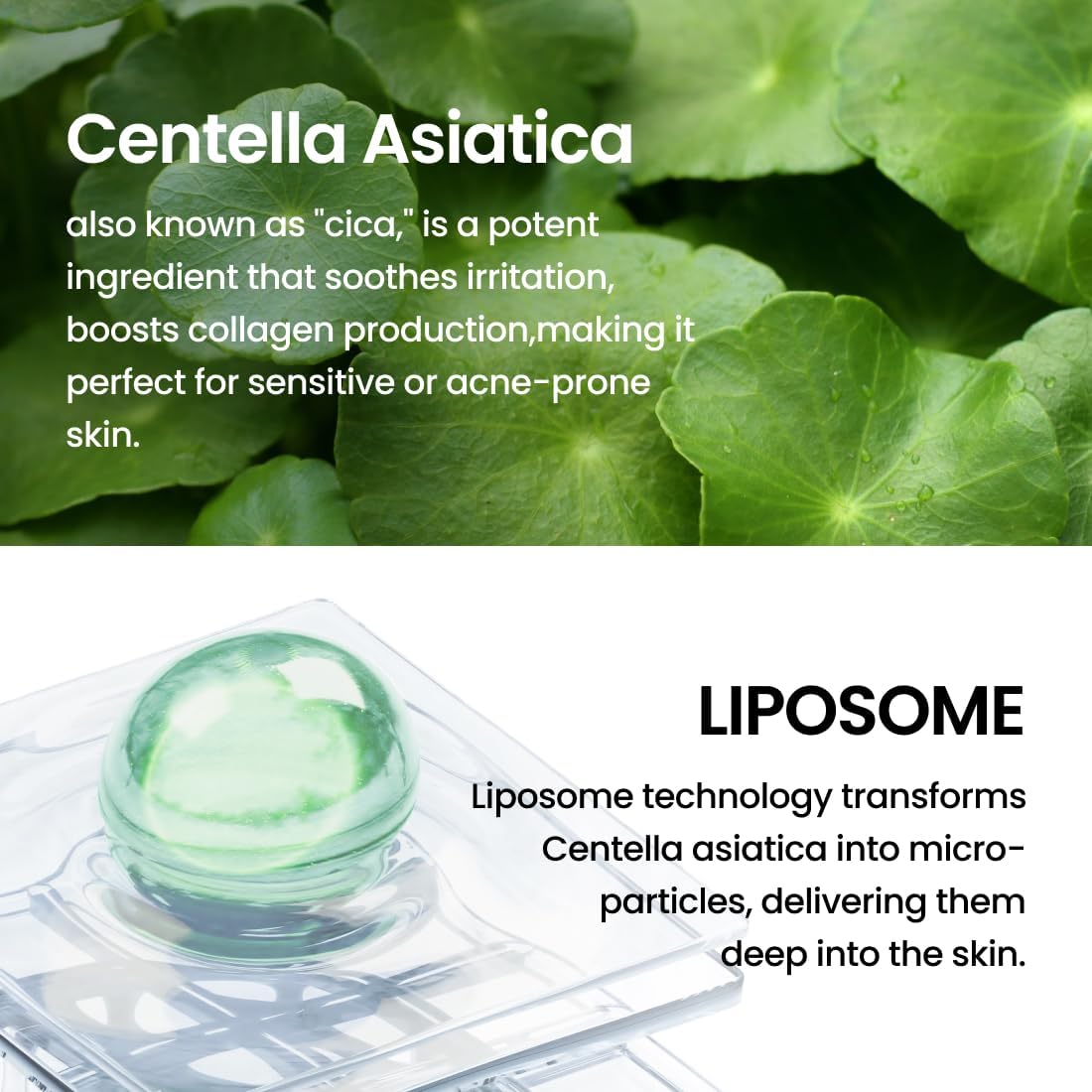 Delphyr Liposome Waterful Bubble Toner [150ml]