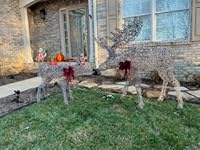 Review Image by Squirrel 737 Squirrel 737