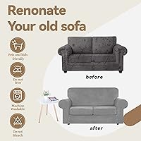 Vista 119 de WEERRW Fundas de terciopelo para sofá de 2 cojines, fundas de sofá de felpa de terciopelo de lujo de alta elasticidad, con parte inferior elástica