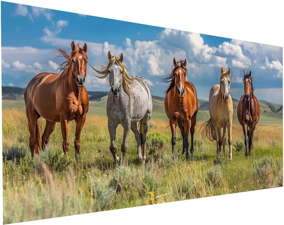 Peinture diamant kit complet anti-stress | Loisirs créatifs adultes motif cheval