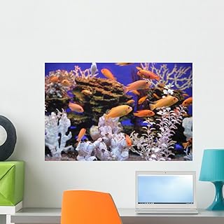 Wallmonkeys Aquarium with Bright Small Fishes and Corals Wall Decal Peel...