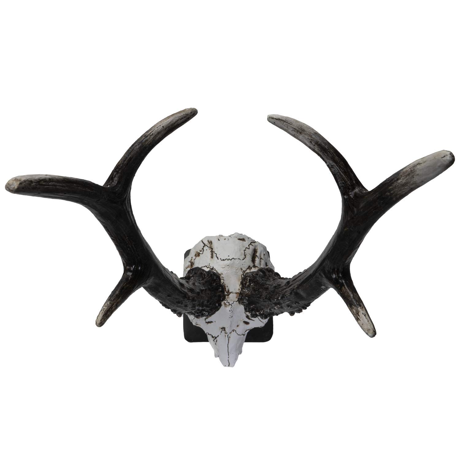 珍品　角　鹿　剥製　犀角　象牙　漢方　根付　標本　頭骨