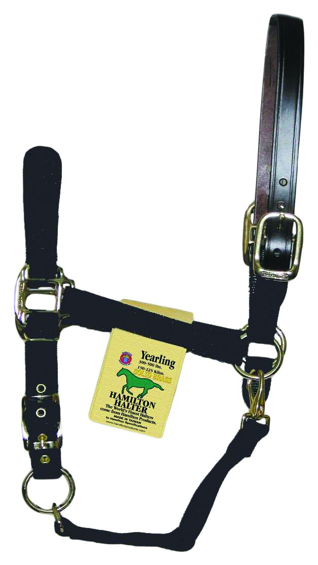 HamiltonHalter Company Adjustable With Leather Headpole 354869