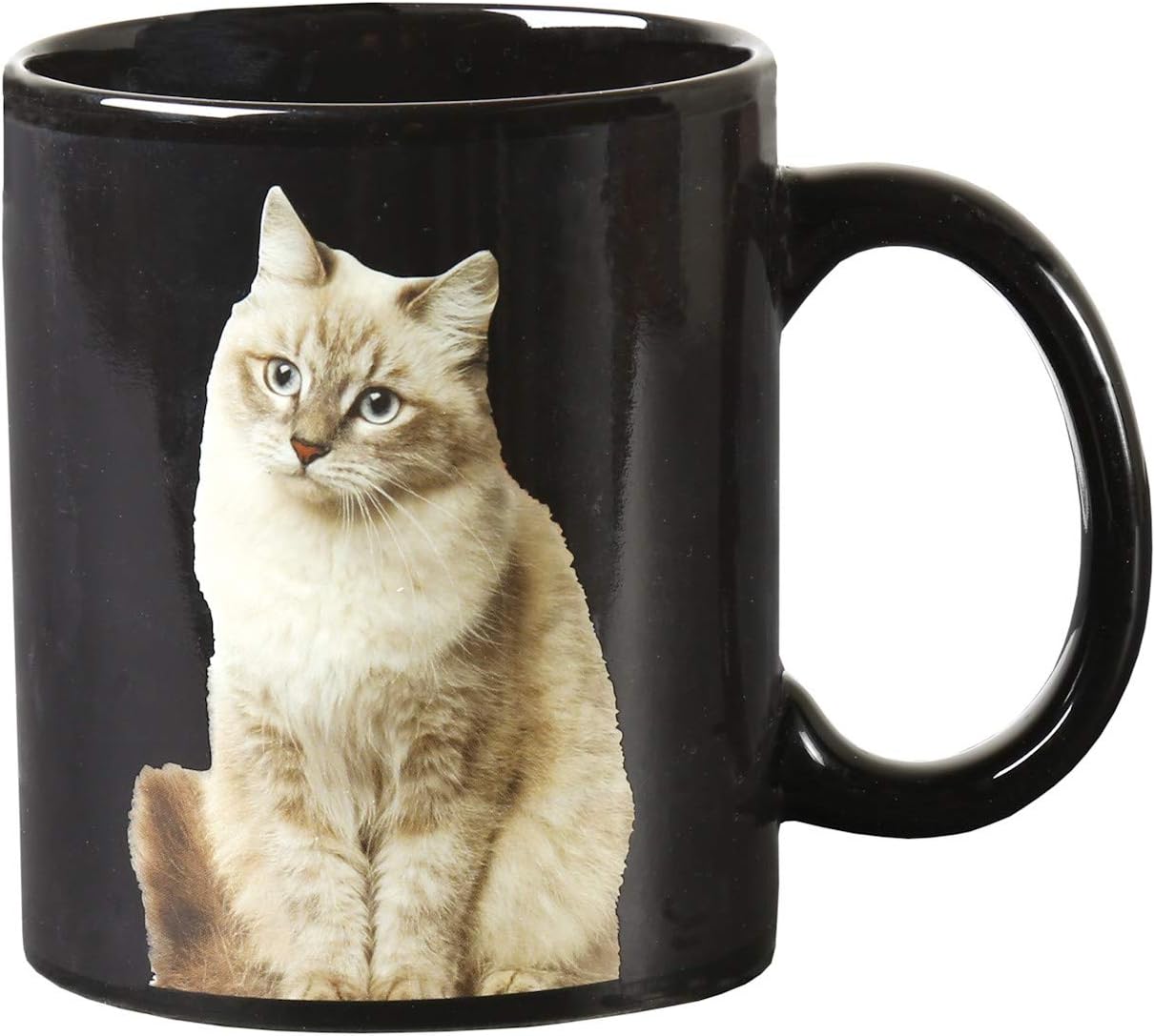 WHAT ON EARTH Heat-Change One Cat Leads to Another Coffee Mug - Cats Appear with Hot Liquid