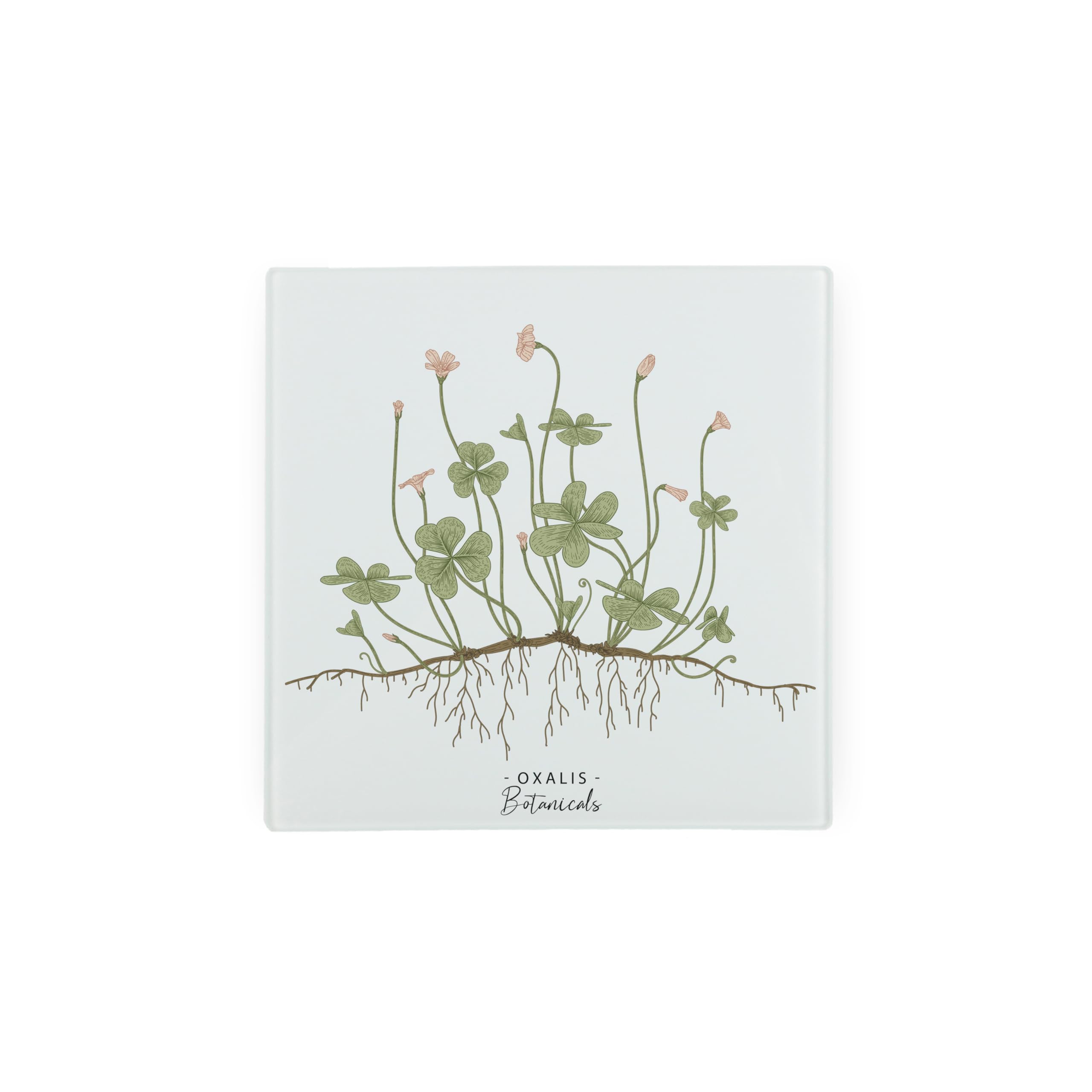 Purely Home Oxalis Plants Botanical Glass Hot Pot Stand - Gardening Gift Trivet - Kitchen Chopping/Cutting Board Worktop Protector With Non-Slip Feet 20Cm X 20Cm (8" X 8")