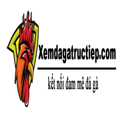 xem da ga truc tiep thomo App
