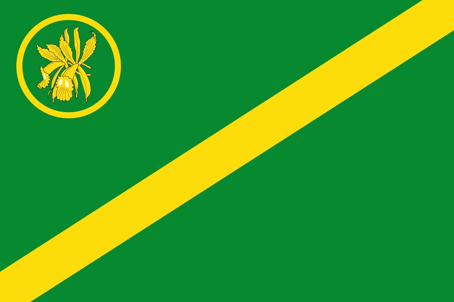 Drapeau XL Suaza Huila officiel pour les rassemblements et les fêtes de ce municipio