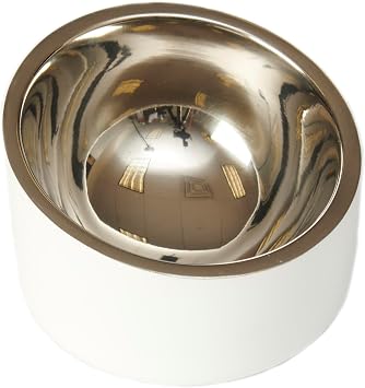 PetRageous 18438 Seychelles Stainless-Steel Slanted Double Walled Dog Bowl 4.95-Inch Width and 2.95-Inch Height 1-Cup Capacity, White