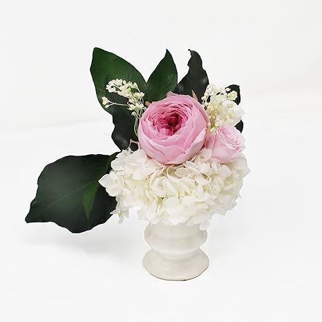 杏 Ann プリザーブドフラワー ペット 仏花 お供え 彼岸 ギフト 専用 クリアケース 入り 省スペースで飾る新しい プリザ仏花 プリザーブドフラワー オンライン通販 杏 Ann プリザーブドフラワー ペット 仏花 お供え 彼岸 ギフト 専用 クリアケース 入り 省スペースで飾る新しい プリザ仏花 プリザーブドフラワー オンライン通販