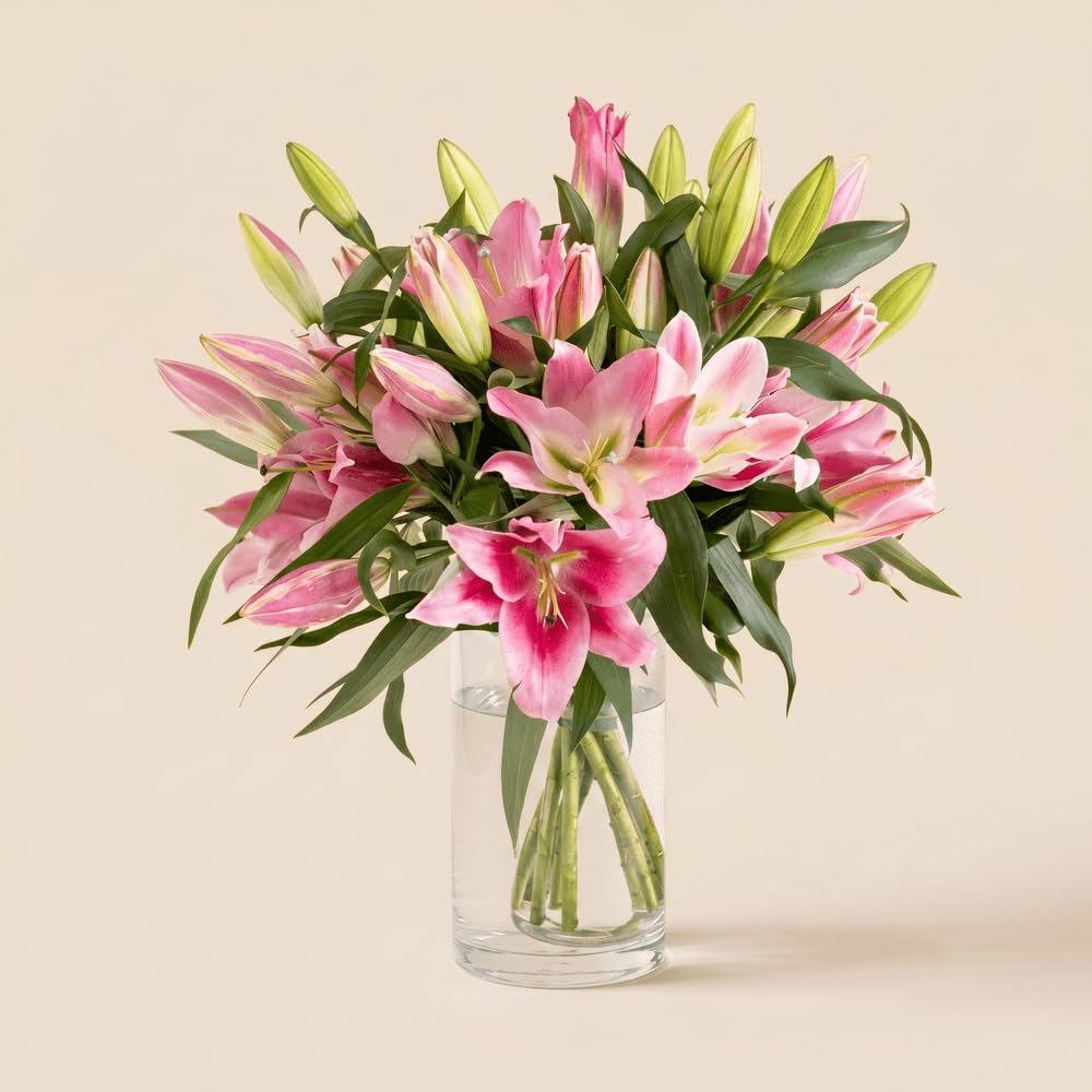 Bouquet de Lys Roses Fraîches, env. 5 Tiges