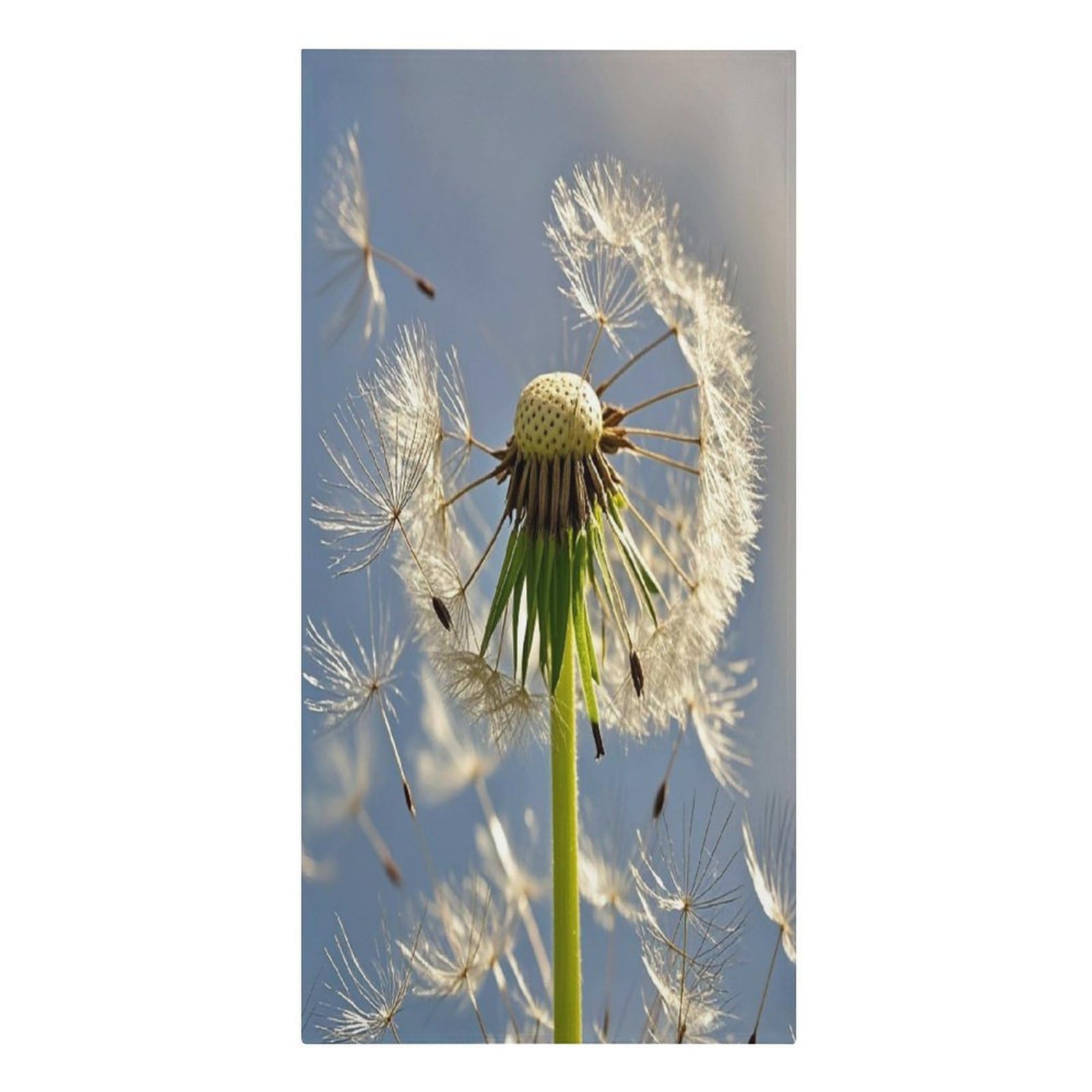 FekiLoot Dandelion Towels Lightweight Thin Beach Towel Classic Soft Large Pool Towel Highly Absorbent Sand Free Bath Towels Travel Blanket for Vacation Essentials Adult Gift 30" X 61"
