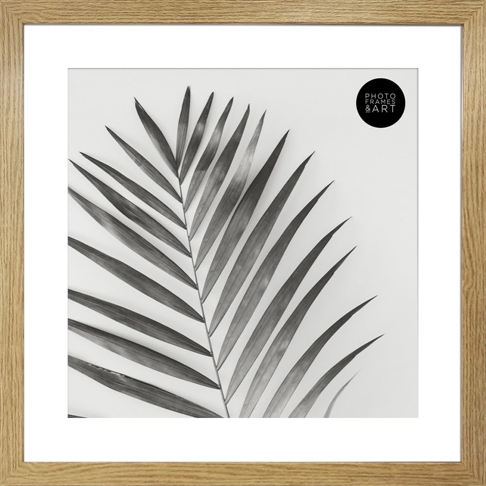 pf+a REAL GLASS 16x16" For 12x12" Oak Effect Picture Frame - 12x12" Frame With Mount - Oxford Premium Photo Frame