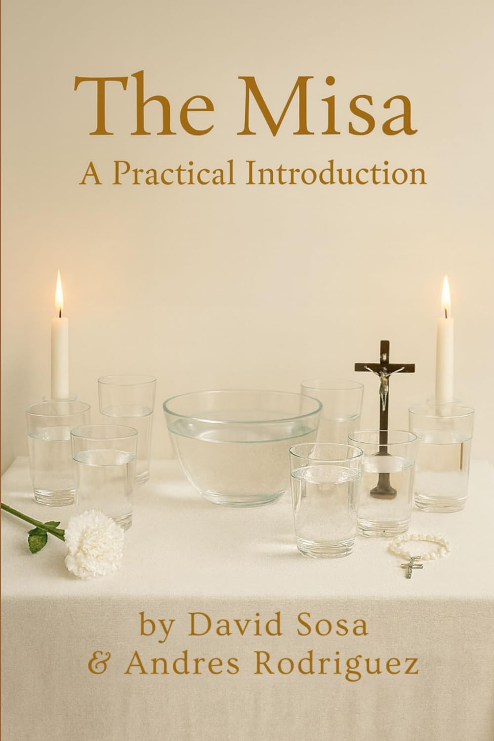 The Misa: A Practical Introduction      Paperback – October 13, 2025