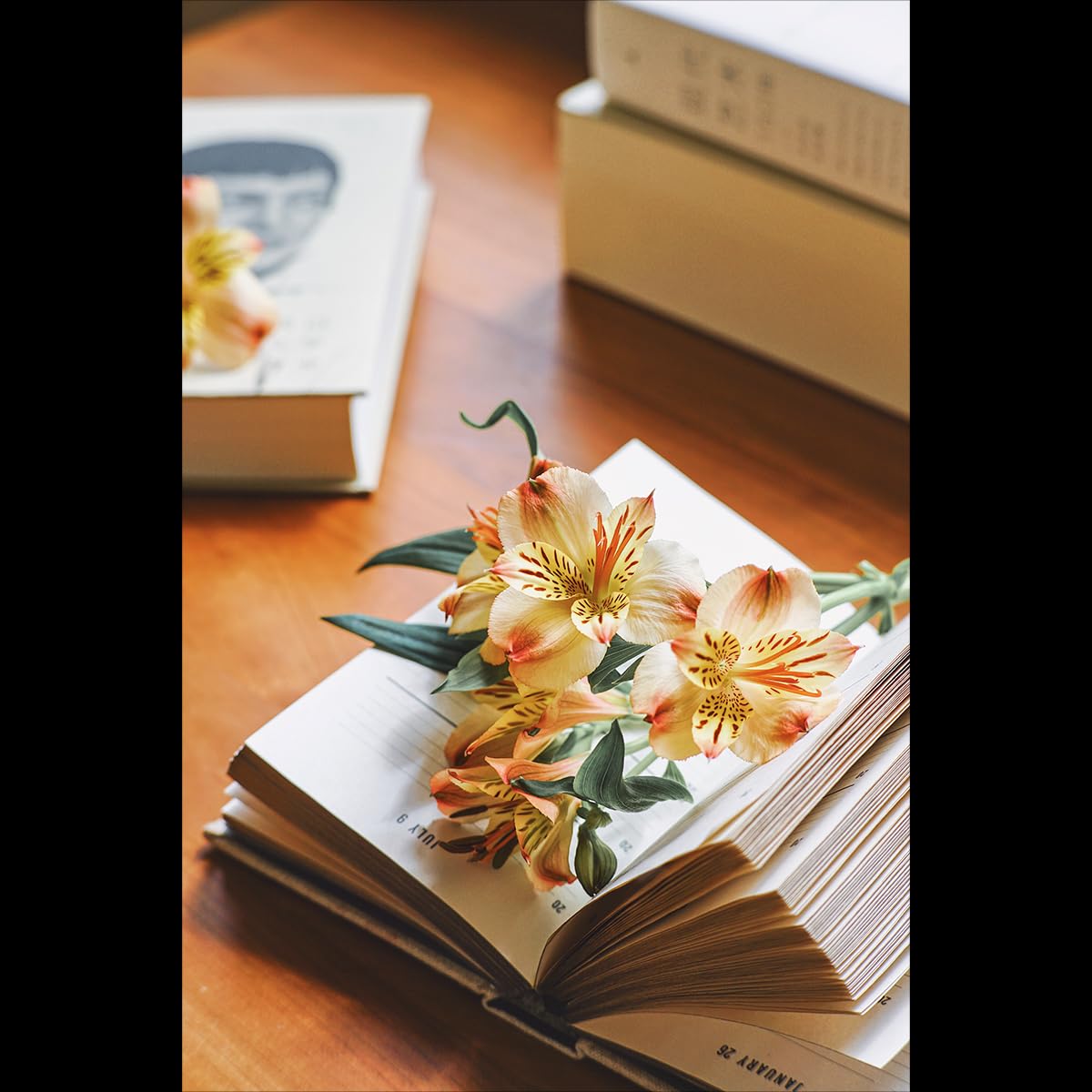 極美品 SG-Image 50mm F1.4 単焦点 RF マウント マニュアル Amazon.co.jp: SG-image 50mm F1.4 APS-C対応 RFマウント 大口径 単