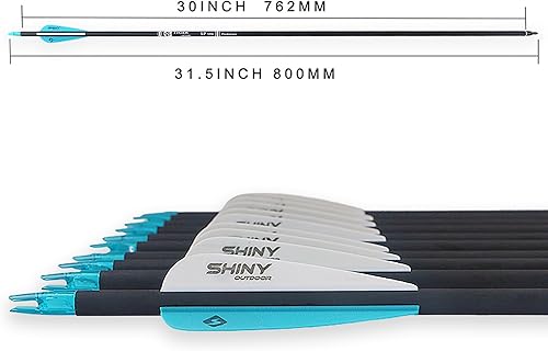 Miniatura 20 de Flecha de carbono de 30 pulgadas con puntas extraíbles para arco compuesto y recurvo (paquete de 12 unidades)