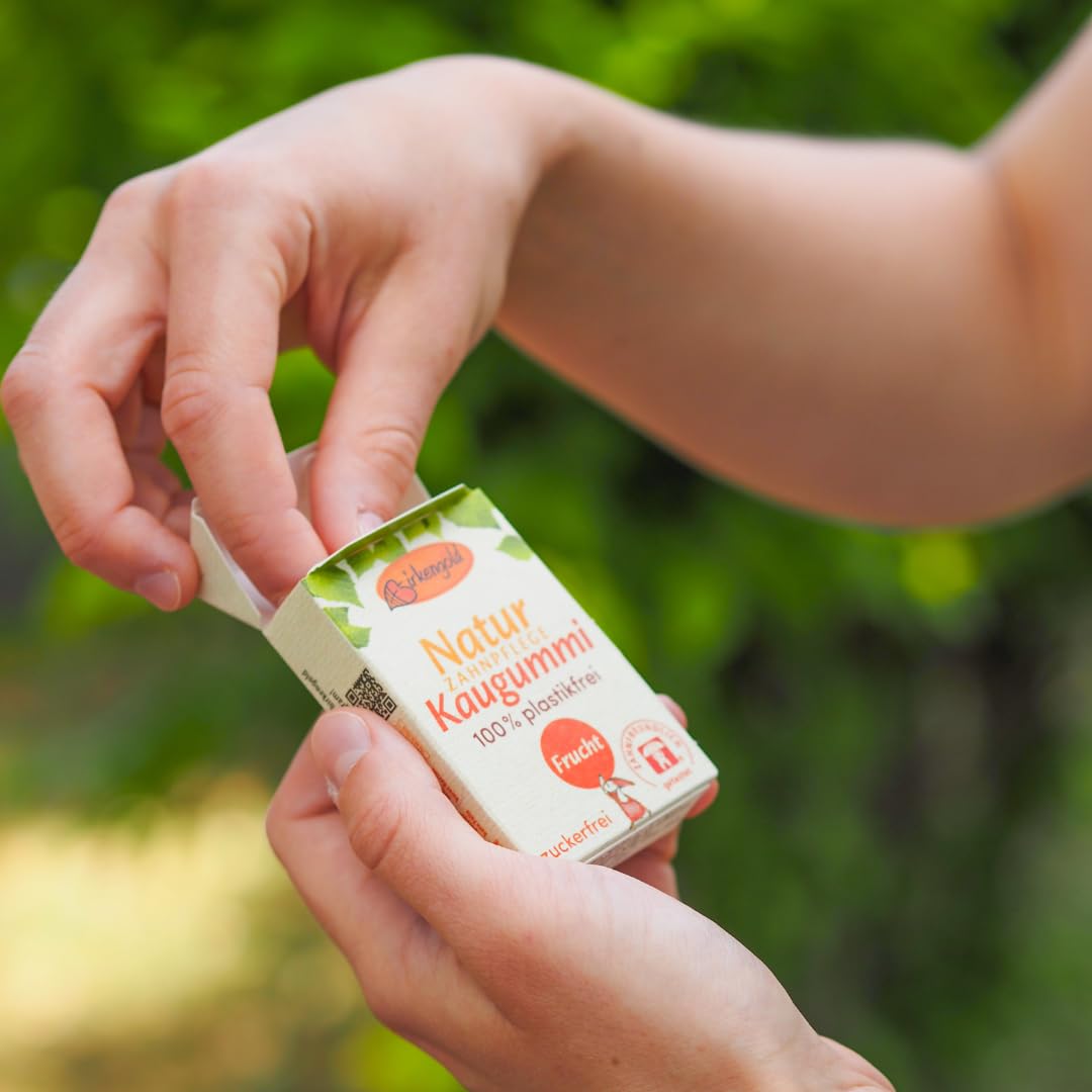 *NEU* Birkengold Natur Zahnpflege Kaugummi | Frucht | plastikfrei | 12x28g | Natürliche Kaumasse (Chicle) | Ohne Erdöl | Zuckerfrei | Naturkosmetik zertifiziert