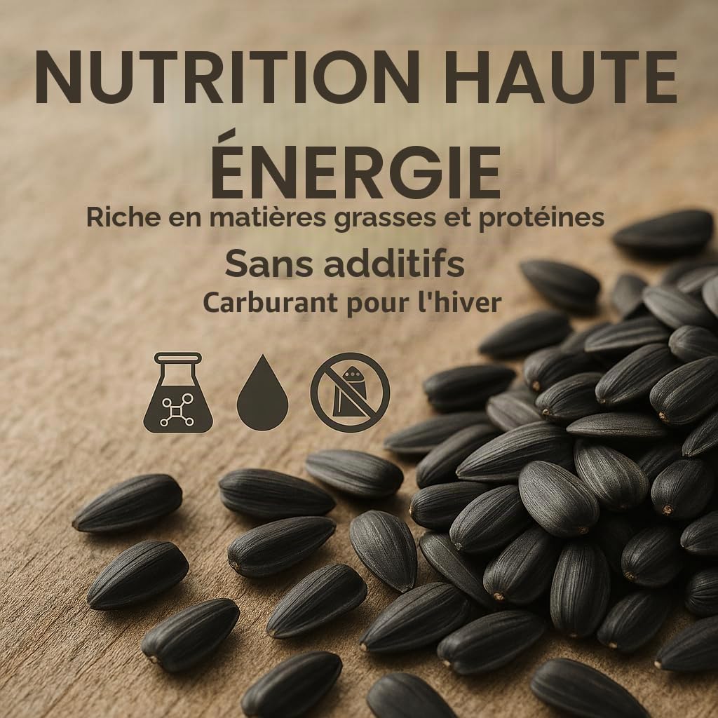 Graines de tournesol noir 25 kg pour oiseaux sauvages et petits animaux