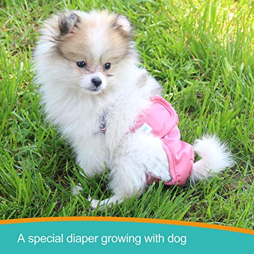 Paw Legend Reusable Female Dog Diapers(3 Pack,X-Small)